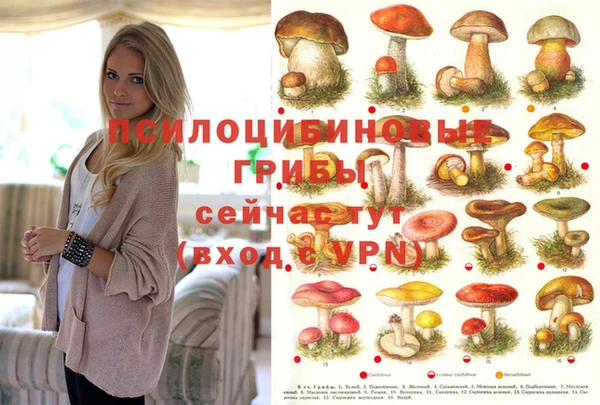 прущая мука Козельск