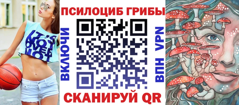 Купить закладки  Карабаш  Псилоцибиновые грибы Magic Shrooms 